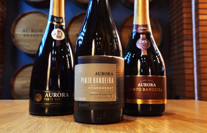 Cooperativa Vinícola Aurora soma 45 medalhas até julho e se aproxima das mil premiações 