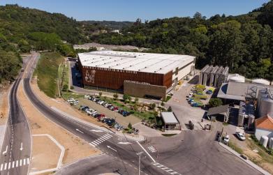 Cooperativa Vinícola Aurora completa 95 anos com faturamento recorde de R$ 874 milhões