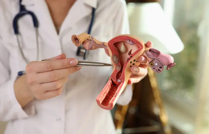 “Não normalizem sentir dor”, alerta ginecologista da Unimed Serra Gaúcha para sinais de endometriose