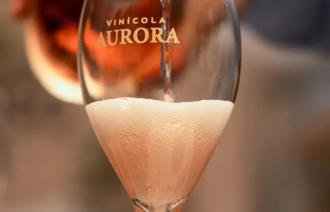 Cooperativa Vinícola Aurora ultrapassa 1.000 medalhas e reforça protagonismo do vinho brasileiro