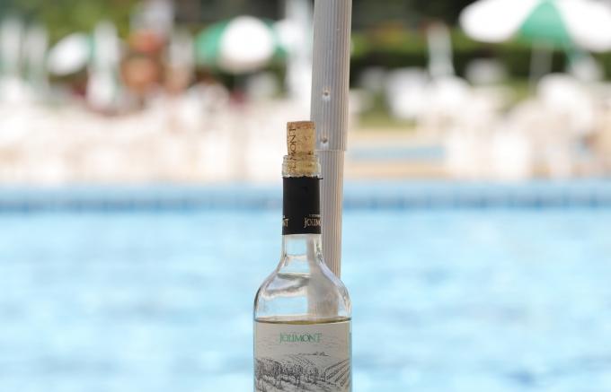 Receitas fáceis e refrescantes com vinhos e espumantes para o Carnaval