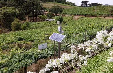Novas tecnologias e soluções para o campo serão apresentadas no 7º Vitis Aurora