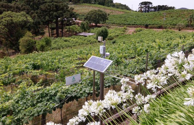 Novas tecnologias e soluções para o campo serão apresentadas no 7º Vitis Aurora